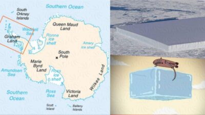 Nasa finds the perfect rectangular iceberg in Antarctica as if it was deliberately cut