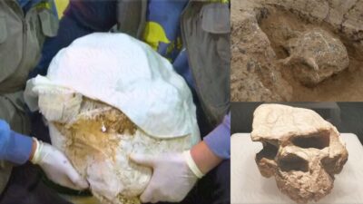 China unearths a million-year-old human skull fossil of a Yunxian man about 1 million years old