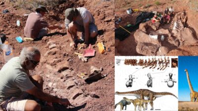 Scientists unearth a 98-million-year-old giant fossil in southwestern Argentina