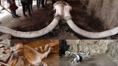 Two holes in Tltepec, north of Mexico City, discovered with man-made traps and first woolly mammoths