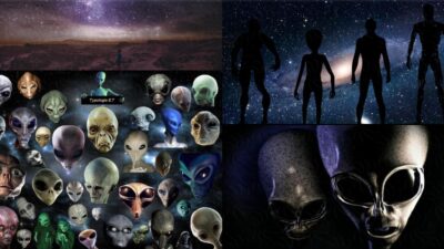 36 alien races live in the galaxy and humans include 22 different alien races, says famous astronaut