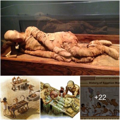 The Secret of Egyptian Mummification Process