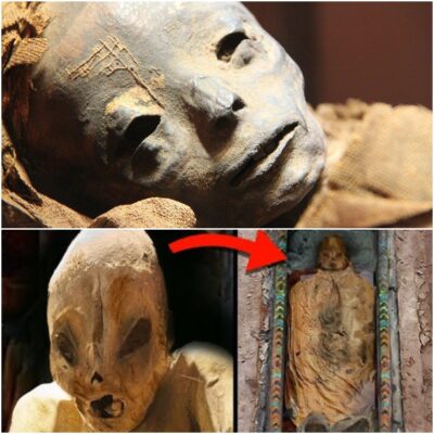 Unearthing the unknown in 1902: The intriguing discovery of ‘alien’ mummies in Mexico captures imaginations and stirs debate