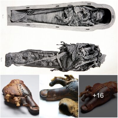 Check out this 3,000-year-old wooden toe prosthetic discovered on an Egyptian mummy