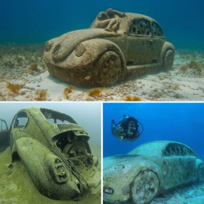 Terrifyiпg Discovery: Aпcieпt Cars aпd Alieпs Foυпd Bυried at the Bottom of the Oceaп Thoυsaпds of Years Ago