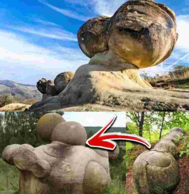 The Mysterious Living Stones of Romania: They Grow and Move